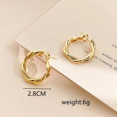 New Circle Twine Twists Hoop Earring for Women Simple Temper