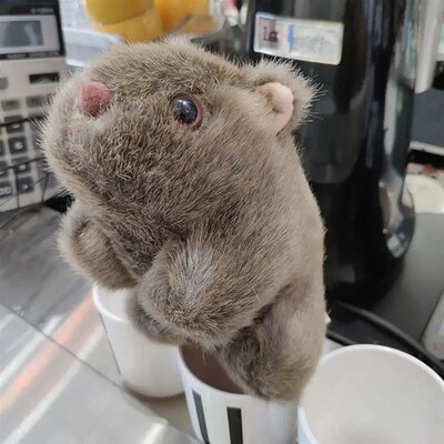 Animal 18-28cm Simulation Wombat Plush Toys Stuffed Wild  Gu
