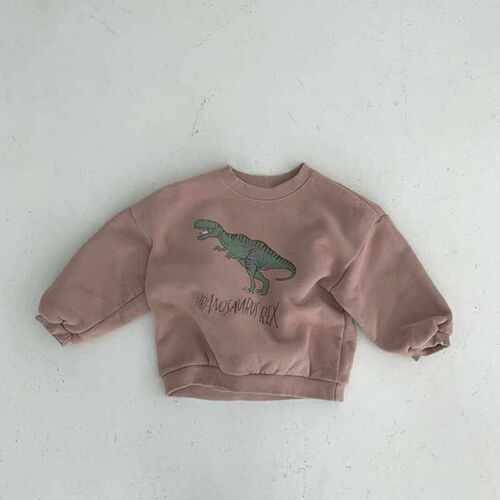 Infant Korean winter new top baby  lovely Dinosaur Plush com