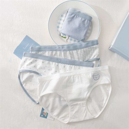 Ladies Underwear Cute Blue Fresh Style Fashionable Girly Br