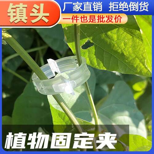 Tomato Plant Vine Clips, Plastic Binding Clips, Plant Suppor