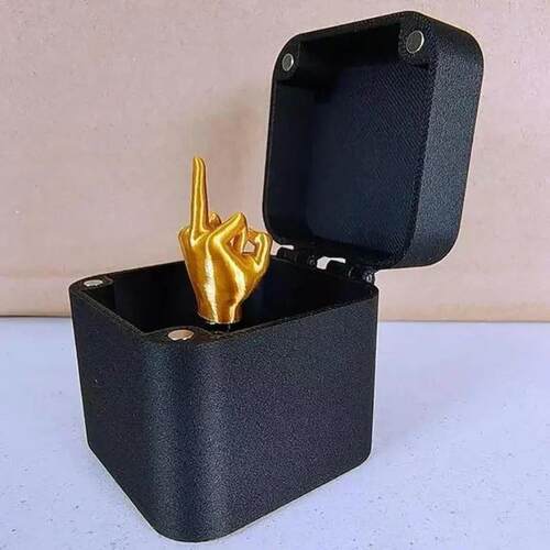 Christmas Interesting Prank Gift Middle Finger In Box Christ