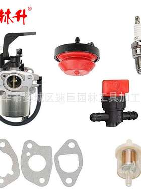 林升化油器LCT 03021 03022 for Huayi L10 136cc 179cc 208cc雪