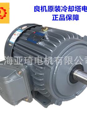 苏州电机有限公司 AEVF/AEEF/AEVP/AEEP/AEVH立式马达