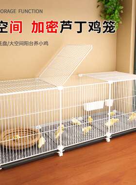 小鸡笼子家用加密芦丁鸡笼宠物鸭子笼子鹌鹑养殖笼养鸡笼室内专用