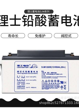 理士电池DJM1265S 不间断电源电池理士12V65AH EPS电源铅酸蓄电池
