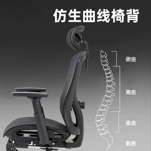 爱琳人体工学椅子家用电脑椅久坐舒服电竞座椅办公椅学习椅AY818