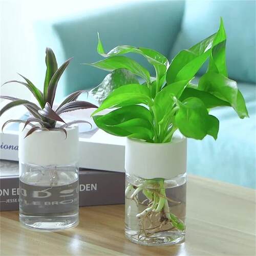 Mini Hydroponic Flower Pot Home Vase Decor Transparent Imita