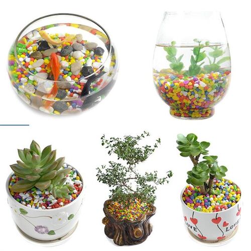 on the new succulent ornamental pebbles pot plant pavement