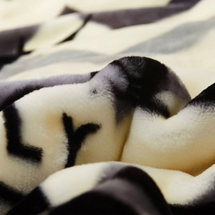 winter double layer thick blanket Cobertor quilt cover warm