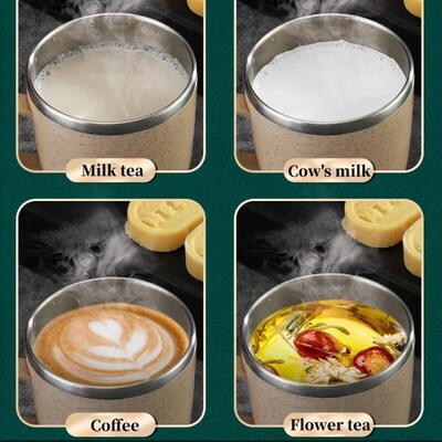 Double Layer Anti-scalding Stainless Steel Cups Plastic Hand