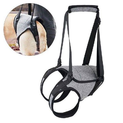 Dog Back Leg Support Strap Padded Lift Harness for Elderly