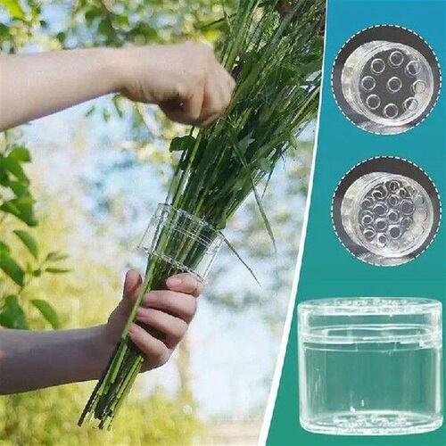 Stem Holder For Flowers Clear Stem Holder Stable Flower