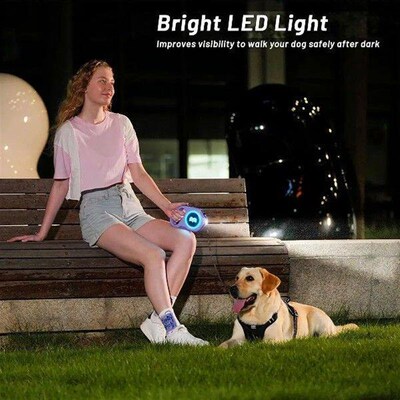 ABJT-Retractable Dog Leash With Rechargeable LED Light - 16