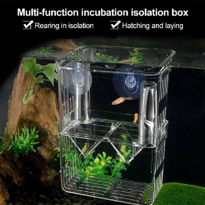Double-Deck Clear Fish Breeding Isolation Box Aquarium