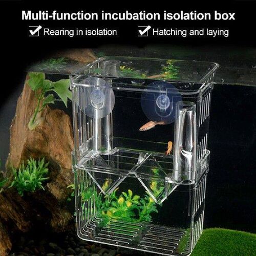 Double-Deck Clear Fish Breeding Isolation Box Aquarium