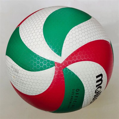 Professional Volleyball,  outdoor sports, volleyba