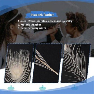 50 PCS/Natural White Peacock Feathers in the Eye, 10 to 12