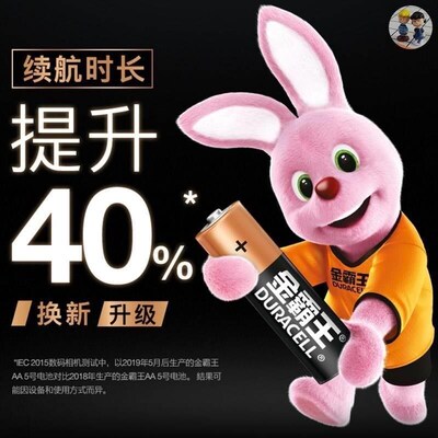 Duracell Plus Power AA, AAA, 9v Alkaline Batteries Lr03 Lr6