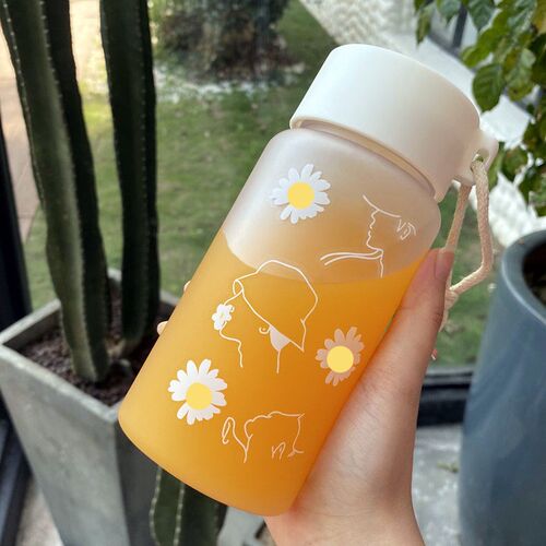 500ml Plastic Water Bottles for Girls Creative Frosted Drink