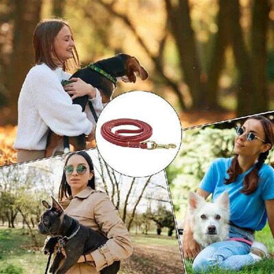 Dog Traction Rope Dog Training Behavior Aids Dog Safety