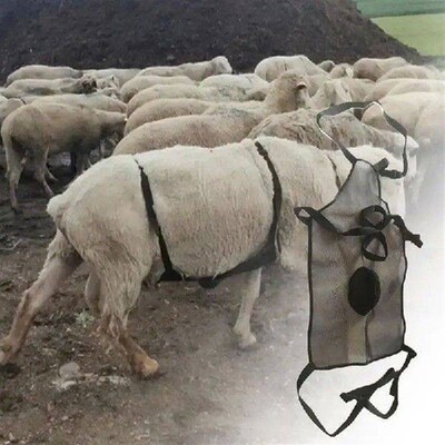 Anti Breeding Goat Skirt Anti Breeding Goat Anti Mating