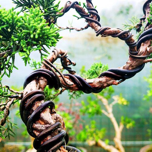 Garden Bonsai Shape Aluminum Wire (1.0mm, 1.5mm, 2.0mm, 3mm,