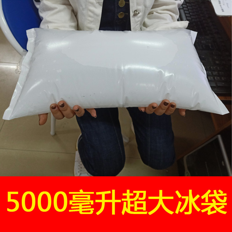 冰袋冰包大号大容量保鲜冷藏加厚快递超大反复使用定制水产运输用,户外/登山/野营/旅行用品,冰包,淘宝优惠券,粉丝福利购,淘宝优惠卷