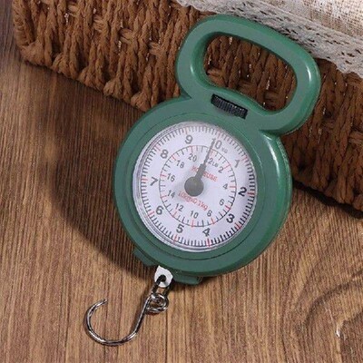 1PC Mini Pointer Hook Spring Hanging Scale Portable Fishing