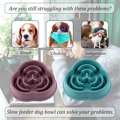 1Pc Pet Anti-choking Slow Food Bowl For Dog & Cat, Slows