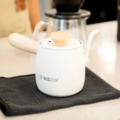 CF WISDOM Small Q 350ml Coffee Kettle - Stainless Steel Goos