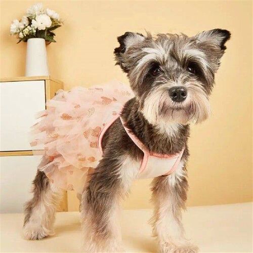 Fine Workmanship Pet Dress Pet Princess Dress Set for Dogs