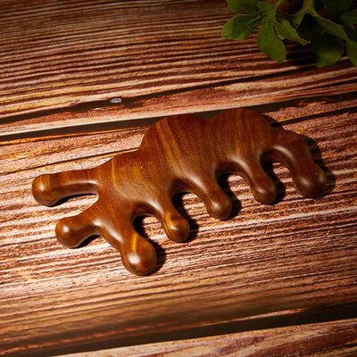 Multifunctional Hair Massage Comb Anti-static Styling Tool S