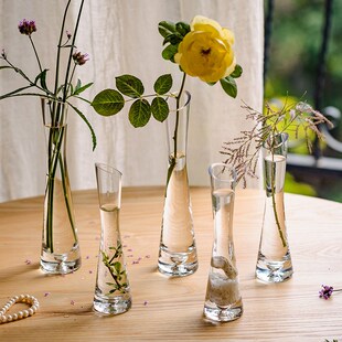 Transparent Glass Flower Vase Small Vase Hydroponics Plant F