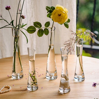 Transparent Glass Flower Vase Small Vase Hydroponics Plant F