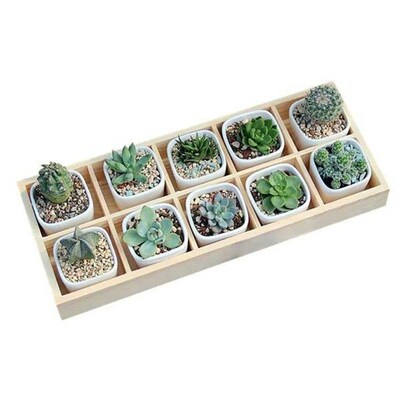 Flower Pot Wooden Tray Multi Grid Wooden Flower Pot Bonsai