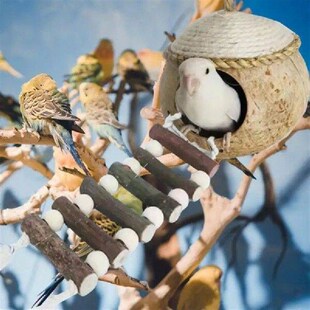 Coconut Bird Nest Bird Breeding Nest Hide House Toy With