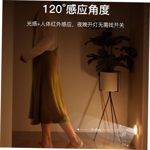 PIR Motion Sensor LED Night Light USB Rechargeable Lamp