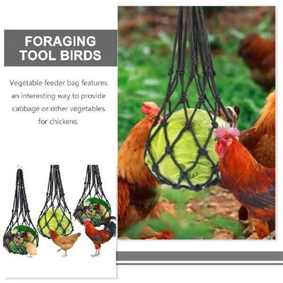 2 Pcs Feeding Net Vegetable Hanging Feeder Mesh Fruit Bag