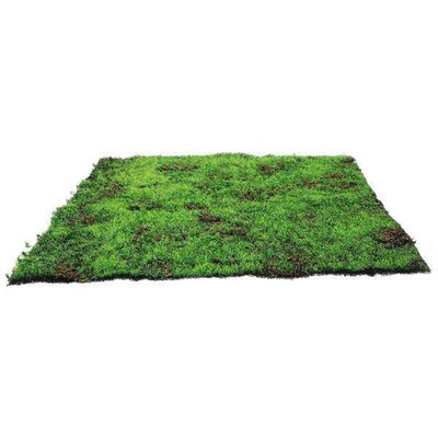 Simulated Moss Lawn Micro Scene Layout Prop Grass Carpet