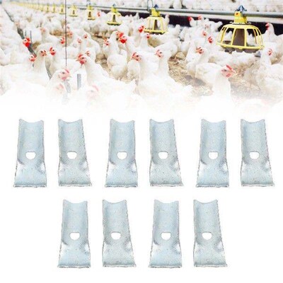 Water Pipe Fixing Clamp, Poultry Chicken, Water Supply