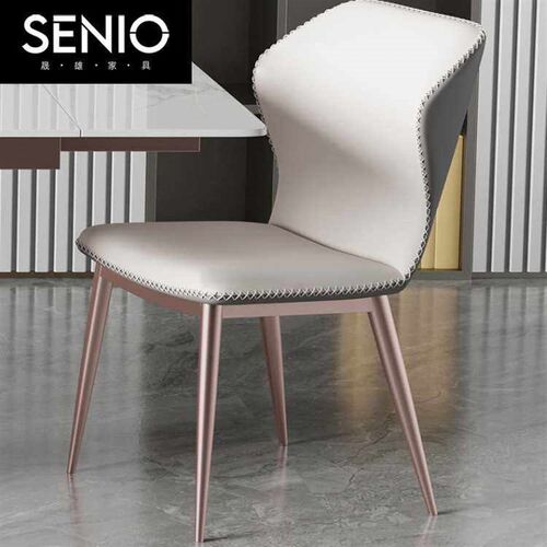 Dining Chair Light Luxury Simple Modern Home Hotel Cafe Res