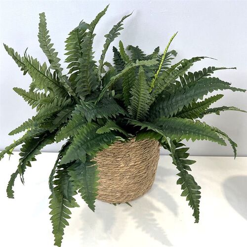 56cm Artificial Persian Leaves Faux Plants Tropical Large