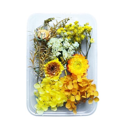200pc Real Dried Flowers For DIY Art Craft Epoxy Resin Candl