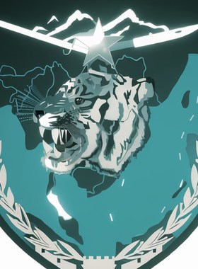 安全员肩牌臂章新员工袖标袖章定制刺绣学生会订做75林虎订制