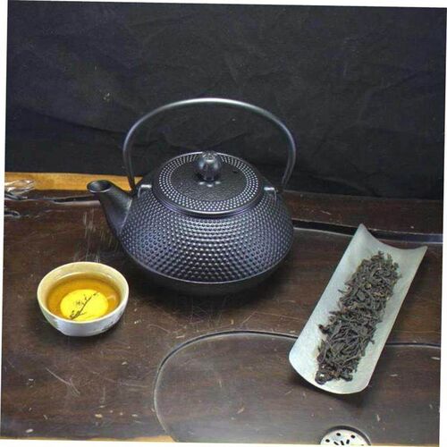 Iron Tea Pot with Stainless Steel Infuser Cast Iron Teapot