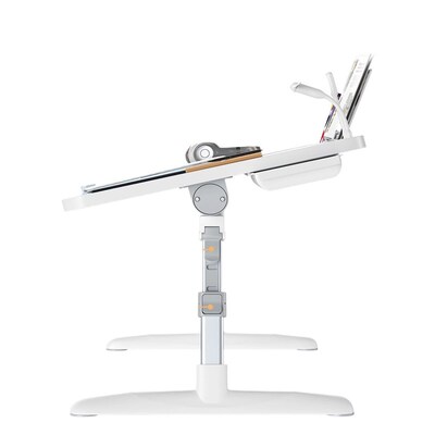 Adjustable Bed, Small Table, Home Bedroom, Floor Folding Des