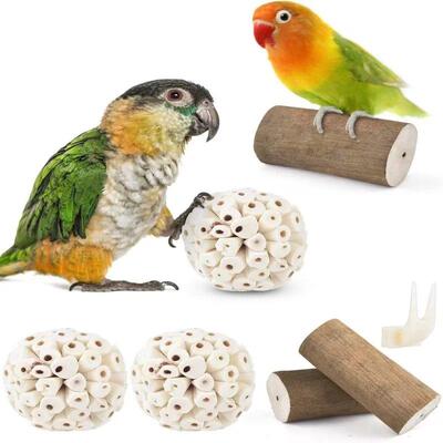 Parrot Chewing Toy Ball Chew Shred Foraging Bird Cage Access