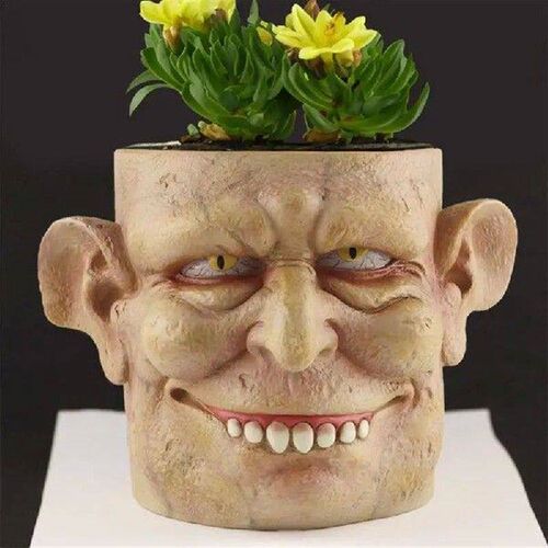 Face Plant Pot Face Succulent Pot Resin Head Plant