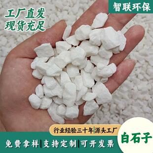 白色石子石头鹅卵石建筑工程庭院铺路造景园艺鱼缸装饰白石子砾石
